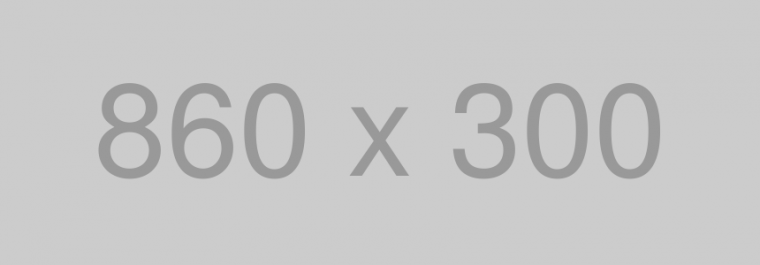 860×300